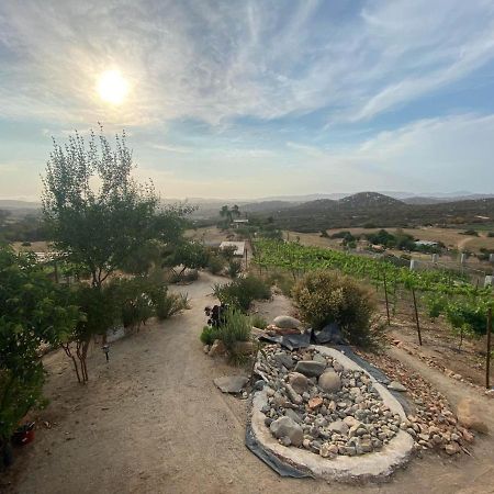 Chalet Nativo - Fabulous Terrace & Vineyard 장크트 고아르스하우젠 외부 사진